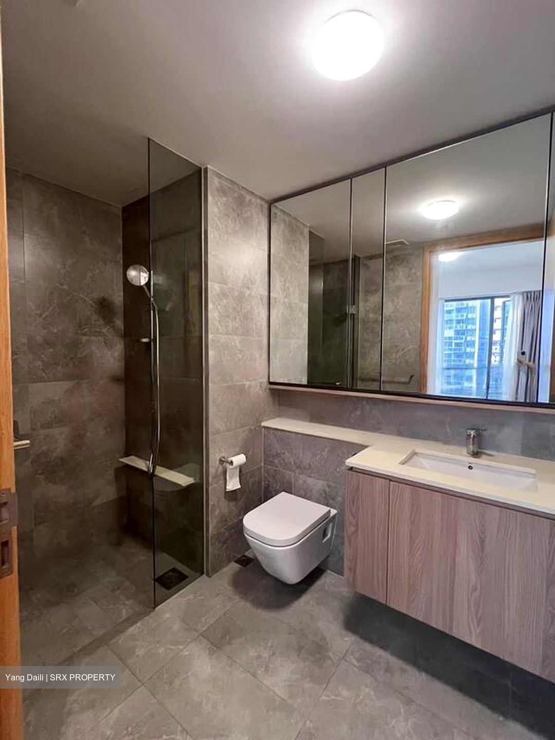 Twin Vew (D5), Apartment #540645651